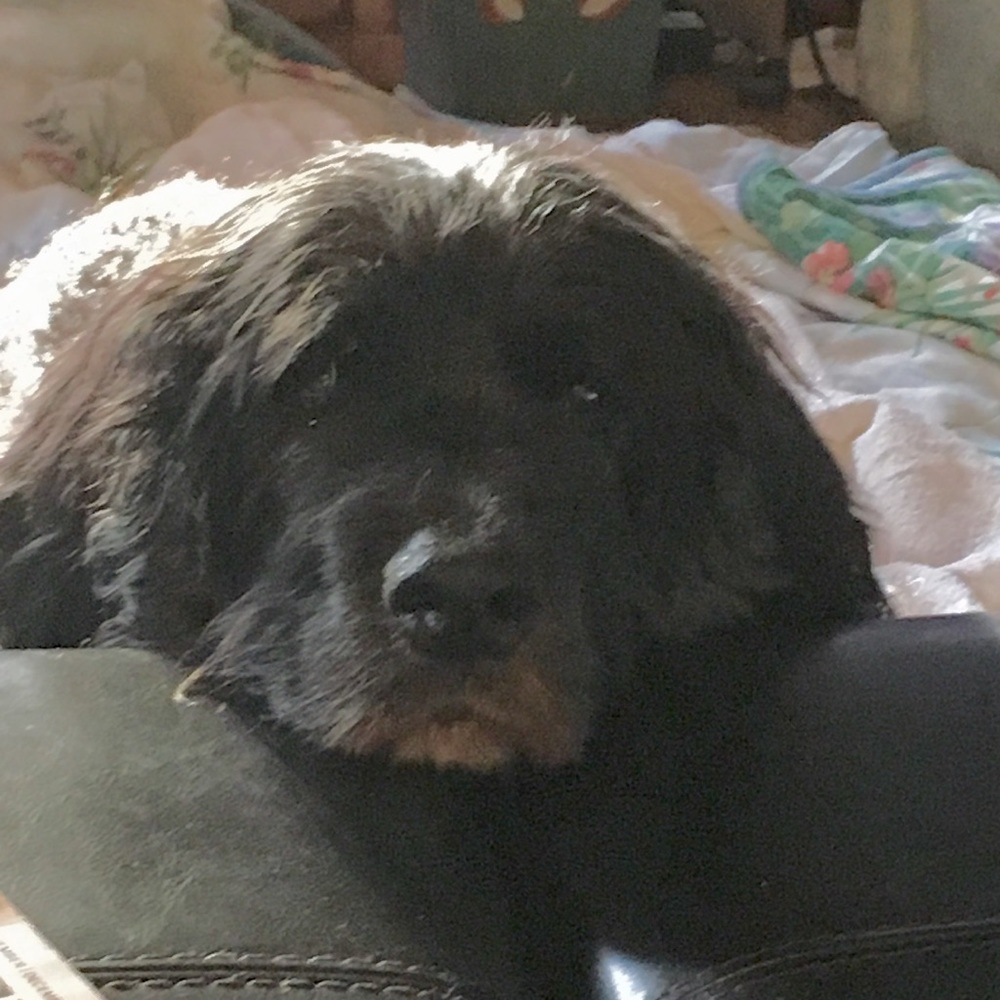Meet your Posher, June